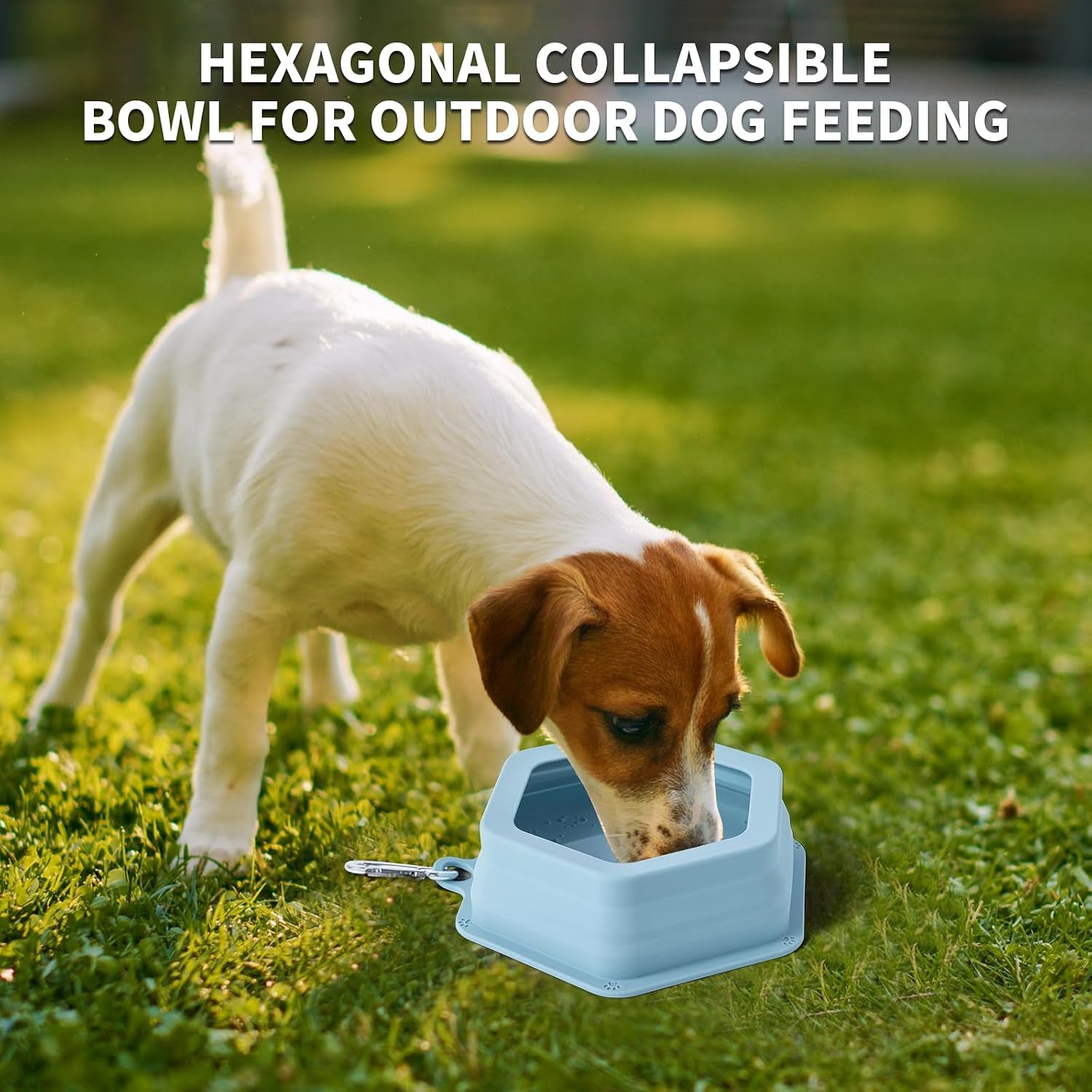 No Splash Collapsible Dog Travel Bowl, Collapsible Spill Proof Dog Water＆Food Bowls Integrated Molding Portable Pet Dish for Car,Camping, Long Road Trips (Blue)