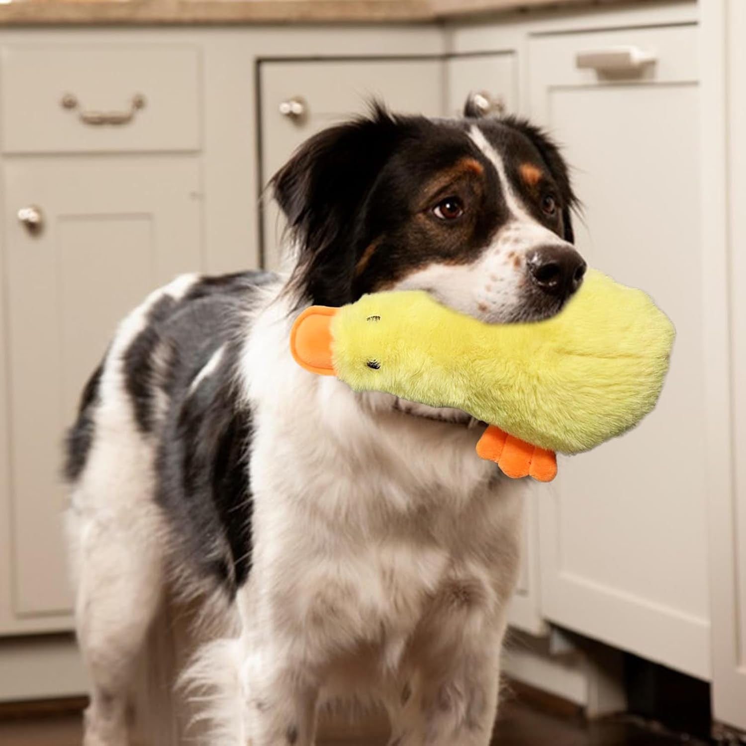 Dog Squeaky Duck - Small Pets Duck Plush Dog Chew Toys - Small Stuffed Puppy Chew Toys Wear Resistant Interactive for Friends, Families