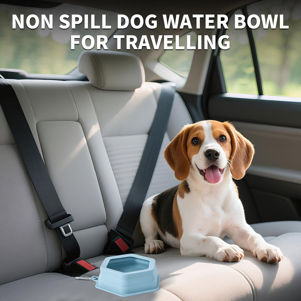 No Splash Collapsible Dog Travel Bowl, Collapsible Spill Proof Dog Water＆Food Bowls Integrated Molding Portable Pet Dish for Car,Camping, Long Road Trips (Blue)