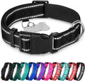 Reflective Dog Collar Black M – Soft Padding – Nylon, Quick Release | Extra-Soft Neoprene Padding; Reflective Stitching for Night Walks; Durable ABS Quick-Release Buckle; D-Ring & ID Tag Ring