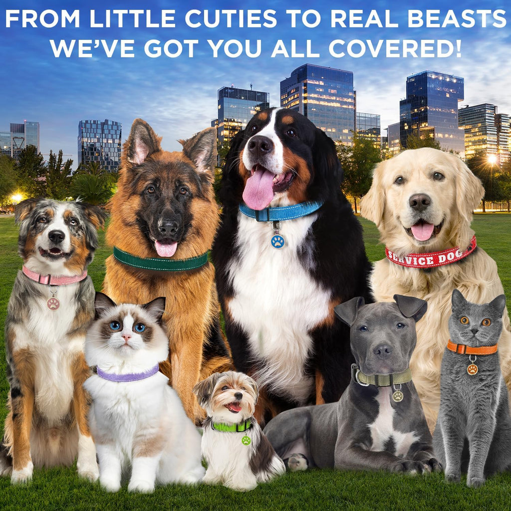 Reflective Dog Collar Black M – Soft Padding – Nylon, Quick Release | Extra-Soft Neoprene Padding; Reflective Stitching for Night Walks; Durable ABS Quick-Release Buckle; D-Ring & ID Tag Ring