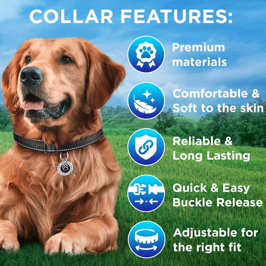Reflective Dog Collar Black M – Soft Padding – Nylon, Quick Release | Extra-Soft Neoprene Padding; Reflective Stitching for Night Walks; Durable ABS Quick-Release Buckle; D-Ring & ID Tag Ring