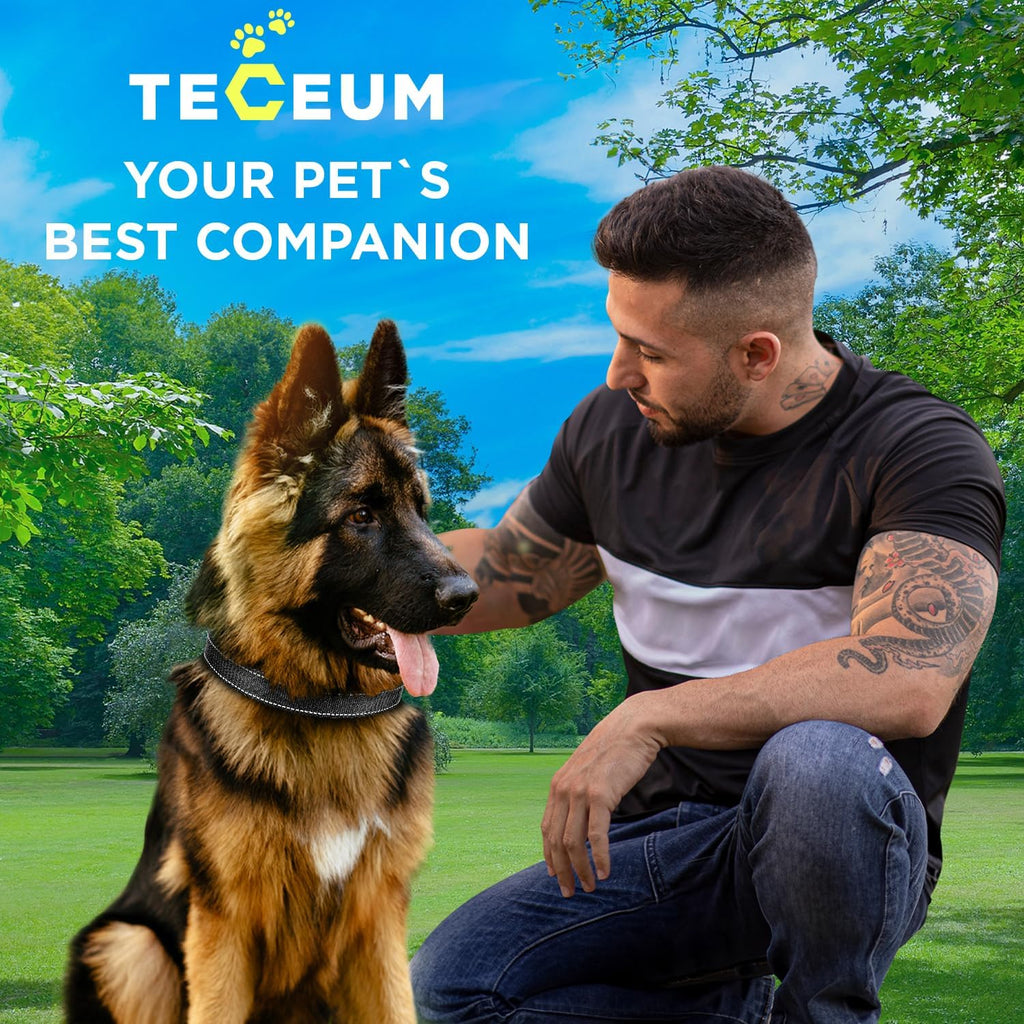 Reflective Dog Collar Black M – Soft Padding – Nylon, Quick Release | Extra-Soft Neoprene Padding; Reflective Stitching for Night Walks; Durable ABS Quick-Release Buckle; D-Ring & ID Tag Ring