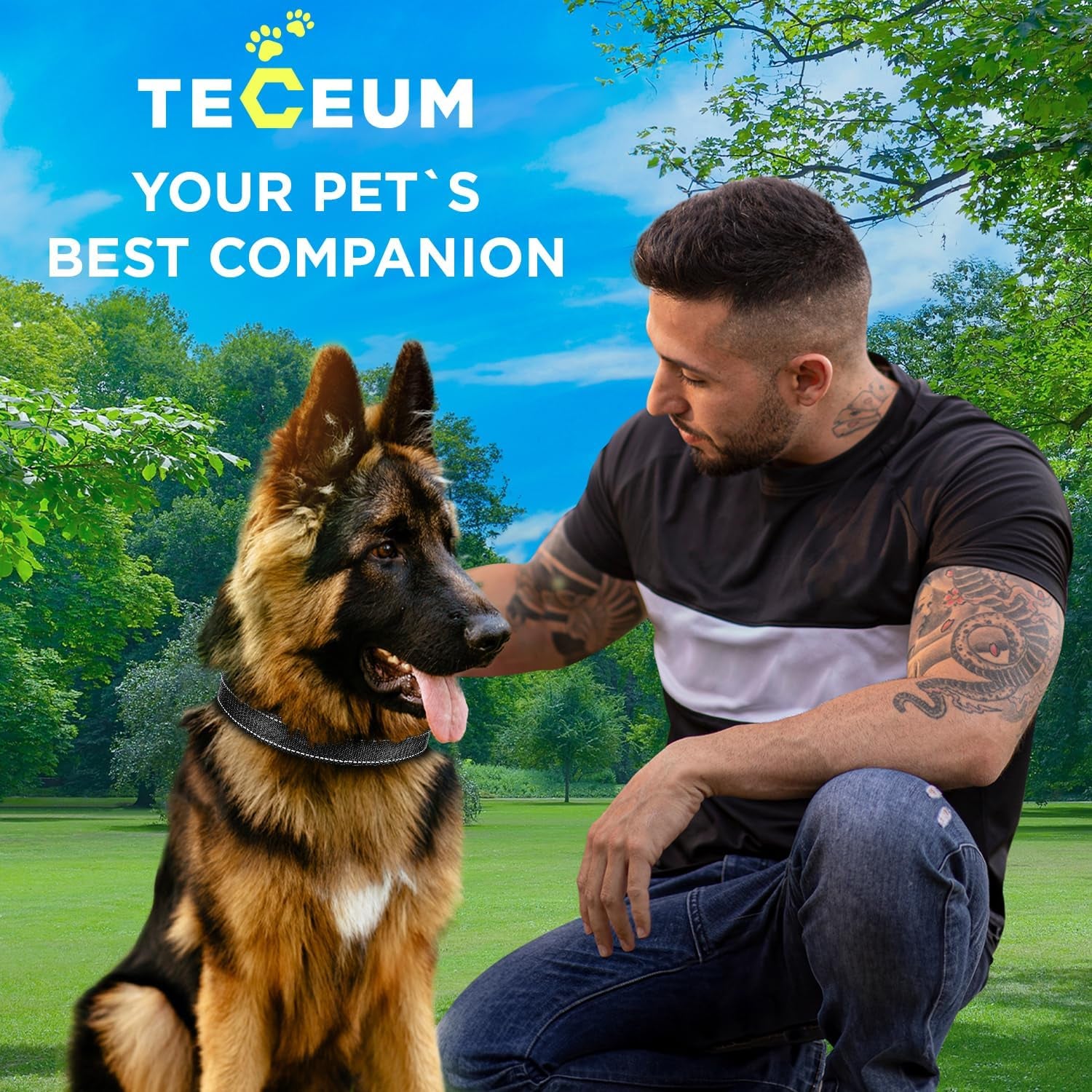 Reflective Dog Collar Black M – Soft Padding – Nylon, Quick Release | Extra-Soft Neoprene Padding; Reflective Stitching for Night Walks; Durable ABS Quick-Release Buckle; D-Ring & ID Tag Ring